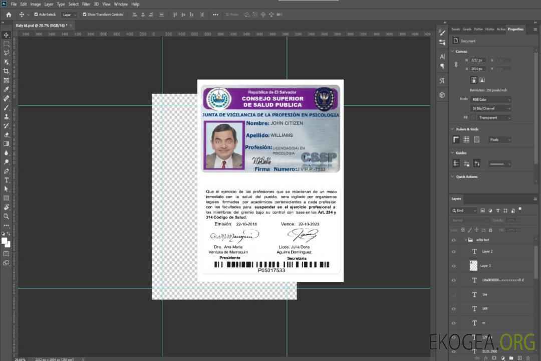 Conseil de santé publique d'EL SALVADOR (consejo upper de salud pública) template